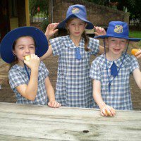 A hub of girls and Crunch&Sip fruit