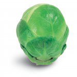 brussel sprout single