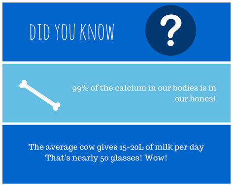 rsz_did_you_know_calcium_prim